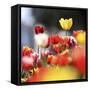 Colorful Spring (5)-Incredi-Framed Stretched Canvas