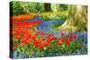 Colorful Spring Flowers in Dutch Spring Garden 'Keukenhof' in Holland-dzain-Stretched Canvas