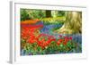 Colorful Spring Flowers in Dutch Spring Garden 'Keukenhof' in Holland-dzain-Framed Photographic Print