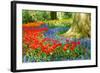 Colorful Spring Flowers in Dutch Spring Garden 'Keukenhof' in Holland-dzain-Framed Photographic Print