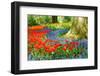 Colorful Spring Flowers in Dutch Spring Garden 'Keukenhof' in Holland-dzain-Framed Photographic Print