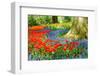 Colorful Spring Flowers in Dutch Spring Garden 'Keukenhof' in Holland-dzain-Framed Photographic Print