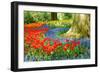 Colorful Spring Flowers in Dutch Spring Garden 'Keukenhof' in Holland-dzain-Framed Photographic Print