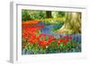 Colorful Spring Flowers in Dutch Spring Garden 'Keukenhof' in Holland-dzain-Framed Photographic Print