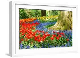 Colorful Spring Flowers in Dutch Spring Garden 'Keukenhof' in Holland-dzain-Framed Photographic Print