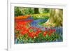 Colorful Spring Flowers in Dutch Spring Garden 'Keukenhof' in Holland-dzain-Framed Photographic Print