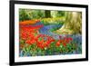 Colorful Spring Flowers in Dutch Spring Garden 'Keukenhof' in Holland-dzain-Framed Photographic Print