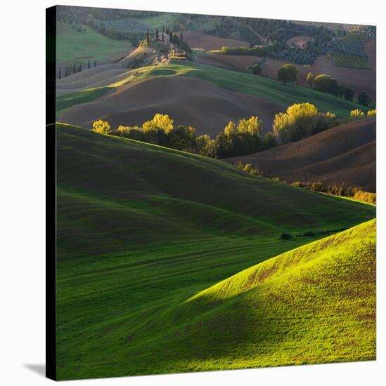 Colorful Spring Rural Landscape in Tuscany, Italy-Jaroslaw Pawlak-Stretched Canvas