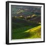 Colorful Spring Rural Landscape in Tuscany, Italy-Jaroslaw Pawlak-Framed Photographic Print