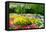 Colorful Springflowers and Blossom in Dutch Spring Garden 'Keukenhof' in Holland-dzain-Framed Stretched Canvas