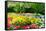 Colorful Springflowers and Blossom in Dutch Spring Garden 'Keukenhof' in Holland-dzain-Framed Stretched Canvas