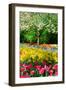 Colorful Springflowers and Blossom in Dutch Spring Garden 'Keukenhof' in Holland-dzain-Framed Photographic Print