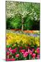 Colorful Springflowers and Blossom in Dutch Spring Garden 'Keukenhof' in Holland-dzain-Mounted Photographic Print