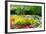 Colorful Springflowers and Blossom in Dutch Spring Garden 'Keukenhof' in Holland-dzain-Framed Photographic Print