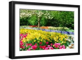 Colorful Springflowers and Blossom in Dutch Spring Garden 'Keukenhof' in Holland-dzain-Framed Photographic Print