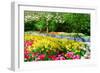 Colorful Springflowers and Blossom in Dutch Spring Garden 'Keukenhof' in Holland-dzain-Framed Photographic Print