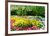 Colorful Springflowers and Blossom in Dutch Spring Garden 'Keukenhof' in Holland-dzain-Framed Photographic Print