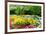 Colorful Springflowers and Blossom in Dutch Spring Garden 'Keukenhof' in Holland-dzain-Framed Photographic Print