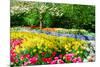 Colorful Springflowers and Blossom in Dutch Spring Garden 'Keukenhof' in Holland-dzain-Mounted Photographic Print