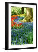 Colorful Springflowers in Dutch Spring Garden 'Keukenhof' in Holland-dzain-Framed Photographic Print