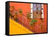 Colorful Stairs and House with Potted Plants, Guanajuato, Mexico-Julie Eggers-Framed Stretched Canvas