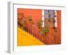 Colorful Stairs and House with Potted Plants, Guanajuato, Mexico-Julie Eggers-Framed Premium Photographic Print
