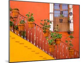 Colorful Stairs and House with Potted Plants, Guanajuato, Mexico-Julie Eggers-Mounted Premium Photographic Print