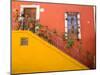 Colorful Stairs and House with Potted Plants, Guanajuato, Mexico-Julie Eggers-Mounted Photographic Print