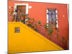 Colorful Stairs and House with Potted Plants, Guanajuato, Mexico-Julie Eggers-Mounted Photographic Print