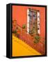 Colorful Stairs and House with Potted Plants, Guanajuato, Mexico-Julie Eggers-Framed Stretched Canvas