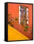 Colorful Stairs and House with Potted Plants, Guanajuato, Mexico-Julie Eggers-Framed Stretched Canvas