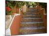 Colorful Stairways, Chania, Crete, Greece-Darrell Gulin-Mounted Photographic Print