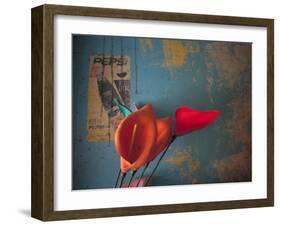 Colorful Still Life, Oaxaca, Mexico-Judith Haden-Framed Photographic Print