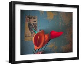 Colorful Still Life, Oaxaca, Mexico-Judith Haden-Framed Photographic Print