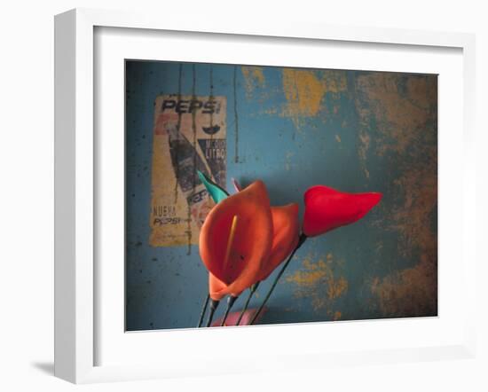 Colorful Still Life, Oaxaca, Mexico-Judith Haden-Framed Photographic Print