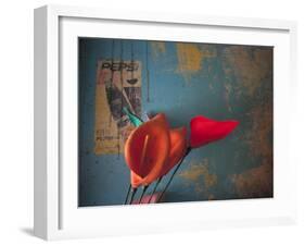 Colorful Still Life, Oaxaca, Mexico-Judith Haden-Framed Photographic Print