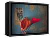 Colorful Still Life, Oaxaca, Mexico-Judith Haden-Framed Stretched Canvas