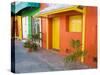 Colorful Street Front, Isla Mujeres, Quintana Roo, Mexico-Julie Eggers-Stretched Canvas