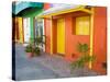 Colorful Street Front, Isla Mujeres, Quintana Roo, Mexico-Julie Eggers-Stretched Canvas