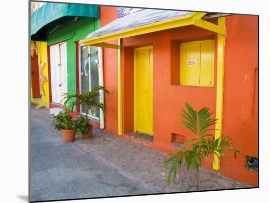 Colorful Street Front, Isla Mujeres, Quintana Roo, Mexico-Julie Eggers-Mounted Photographic Print