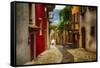 Colorful Street in Malcesine, Lombardy, Italy-George Oze-Framed Stretched Canvas