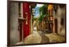 Colorful Street in Malcesine, Lombardy, Italy-George Oze-Framed Photographic Print