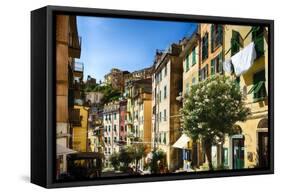 Colorful Street in Riomaggiore, Liguria, Italy-George Oze-Framed Stretched Canvas