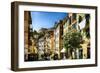 Colorful Street in Riomaggiore, Liguria, Italy-George Oze-Framed Photographic Print