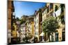 Colorful Street in Riomaggiore, Liguria, Italy-George Oze-Mounted Photographic Print