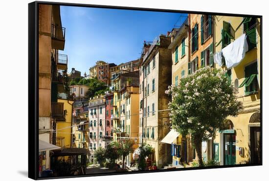 Colorful Street in Riomaggiore, Liguria, Italy-George Oze-Framed Stretched Canvas
