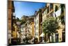 Colorful Street in Riomaggiore, Liguria, Italy-George Oze-Mounted Photographic Print