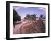 Colorful Street Life, South Beach, Miami, Florida, USA-Stuart Westmoreland-Framed Photographic Print