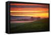 Colorful Sunrise and Clouds in the Petaluma Hills-null-Framed Stretched Canvas