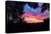 Colorful Sunrise at Oakland Hills-Vincent James-Stretched Canvas